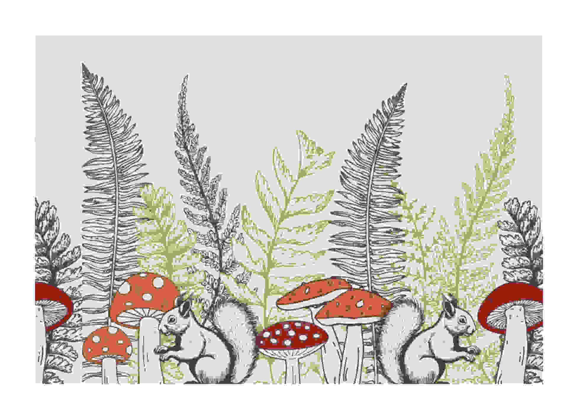 Nature Image 8